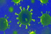 فيروس كورونا المستجد قد ينتقل عبر البراز