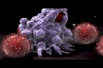 تعدد العلاقات الجنسية يزيد خطر الإصابة بالسرطان !