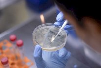 كورونا فيروس عادل... فهل يكون اللقاح ضده عادلًا أيضًا؟