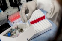 خبير أميركي: لقاح كورونا لن تتجاوز فعاليته الـ 60 %