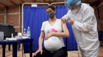 دراسة تؤكد سلامة اللقاح للنساء الحوامل