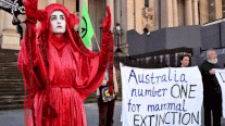 أستراليا: الثروة النباتية والحيوانية مهددة أكثر من أي وقت