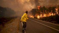 قتيل وجريح في حريق غابات في المغرب