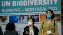 مفاوضات التنوع البيولوجي تنتظر نص تسوية من الصين