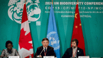 حماية 30% من الكوكب.. مسودة اتفاق كوب15 للتنوّع البيولوجي