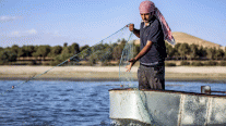 صيّادو الفرات في شمال سوريا يتحسّرون على الثروة السمكية