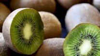 لحيوية أكبر ومزاج أفضل.. تناولوا فاكهة الكيوي