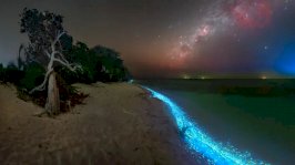 بحر النجوم في جزيرة ثودو بجزر المالديف