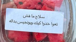  صور متداولة لبطيخ وكاسترد تحمل شعارات سياسية... بين السخرية والرمزية، النقاش مستمر. - X/@TishallaaFaisal