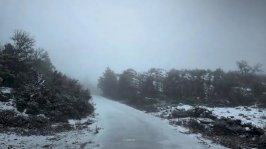 الثلوج تغطي الطرقات والغابات في لبنان