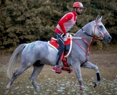 الشيخ ناصر بن حمد آل خليفة 