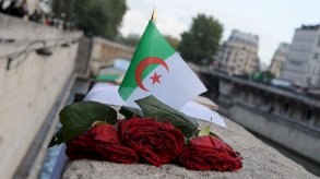 وردة بجوار علم الجزائر - AFP via Getty Images