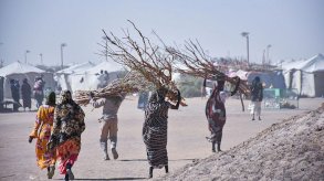 تظهر نساء سودانيات من الخلف باللباس التقليدي يحملن حطباً، وعدد آخر من الرجال يحمل أحدهم حطباً. كل شخص في الصورة يظهر ماشياً لوحده قرب عدد من الخيام. الصورة التقطت نهاراً. - Anadolu via Getty Images