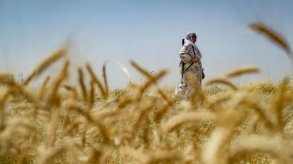 نساء يتطوعن لحماية حقول القمح من الحرائق في شمال شرق سوريا