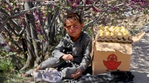 كيف يُعاد اختراع الاقتصاد تحت القصف