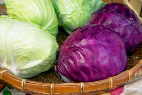 الملفوف يعود للواجهة بتعدد فوائده