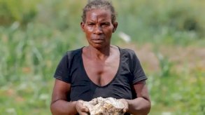 يقول المزارعون مثل ماري بينغ إن تربة محاصيلهم تلوثت بسبب مواد سامة