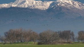 جبل الشيخ.. منطقة واعدة للاستثمار والسياحة والسلام بدلاً من الصراعات والحروب