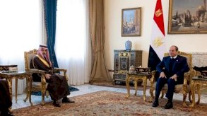 وزير الخارجية السعودي والرئيس المصري يبحثان تطورات المنطقة