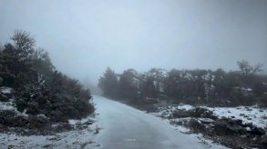 الثلوج تغطي الطرقات والغابات في لبنان