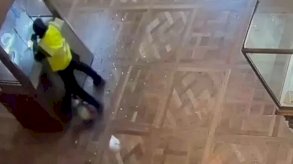 مشاهد من عملية سرقة اللوفر