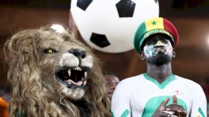 أمم إفريقيا بالمغرب.. حيوانات ضارية وجوارح فتاكة