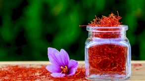 الزعفران.. النبتة السحرية متعددة الفوائد