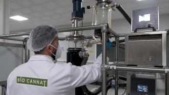 مختبرات معهد الحسن الثاني للزراعة والبيطرة تبحث إمكانية استعمال مخلفات القنب الهندي في اعلاف الدواجن