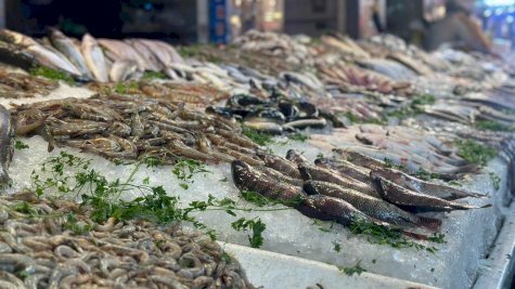 انخفاض كبير في أسعار الأسماك في مصر بعد نجاح حملة المقاطعة