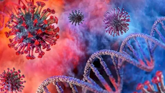 نتائج الدراسة توفر رؤى مهمة حول الدفاع المناعي ضد SARS-CoV-2، وكيف يمكننا تعزيزه باستخدام علاجات جديدة